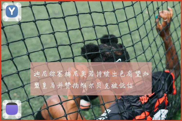 迪尼称塞梅尼奥若持续出色有望加盟皇马并赞扬维尔贝克被低估