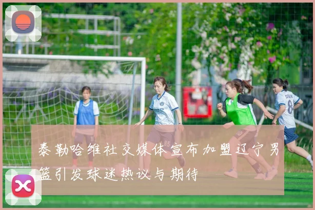 泰勒哈维社交媒体宣布加盟辽宁男篮引发球迷热议与期待